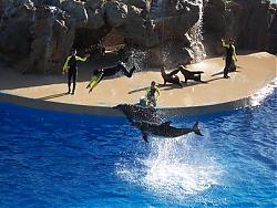 Click image for larger version

Name:	ocean park4.JPG
Views:	200
Size:	29.3 KB
ID:	5877