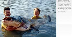 Click image for larger version

Name:	giant_catfish.jpg
Views:	188
Size:	53.3 KB
ID:	7369