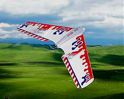 Click image for larger version

Name:	flyingwing.jpg
Views:	242
Size:	93.9 KB
ID:	9746