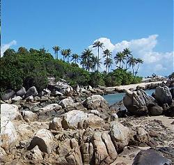 Click image for larger version

Name:	PARAI 3.JPG
Views:	175
Size:	37.3 KB
ID:	7073