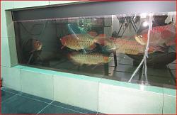 Click image for larger version

Name:	gbr2.JPG
Views:	176
Size:	101.8 KB
ID:	27953