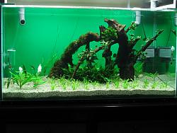 Click image for larger version

Name:	Rescape 008.jpg
Views:	198
Size:	266.4 KB
ID:	19475
