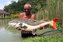 Click image for larger version

Name:	amzon redtail catfish_b.jpg
Views:	140
Size:	125.5 KB
ID:	27119