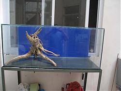 Click image for larger version

Name:	aquascape.jpg
Views:	206
Size:	139.3 KB
ID:	22006