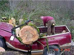 Click image for larger version

Name:	aw-crap-tree-truck-thumb.jpg
Views:	239
Size:	99.3 KB
ID:	20933