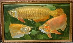 Click image for larger version

Name:	Copy of arowana-gold 32x18 (2).JPG
Views:	410
Size:	148.7 KB
ID:	10322