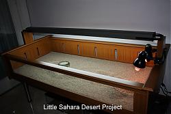 Click image for larger version

Name:	little_sahara2.jpg
Views:	220
Size:	102.6 KB
ID:	12029