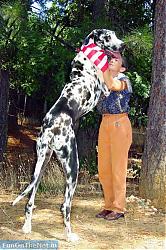 Click image for larger version

Name:	tallest-great-dane.jpg
Views:	151
Size:	75.5 KB
ID:	15878