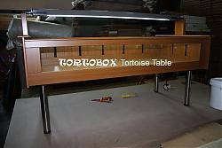 Click image for larger version

Name:	tortoise_table.jpg
Views:	247
Size:	98.0 KB
ID:	11956